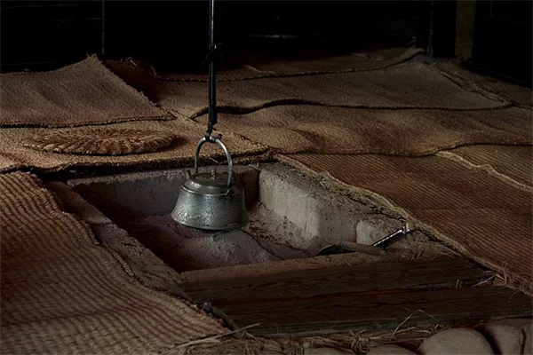 秋の種子収穫のコツと手順：成熟サインから保存まで完全ガイド